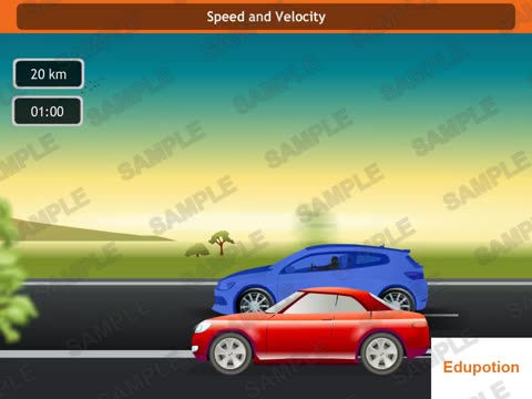 Speed and Velocity