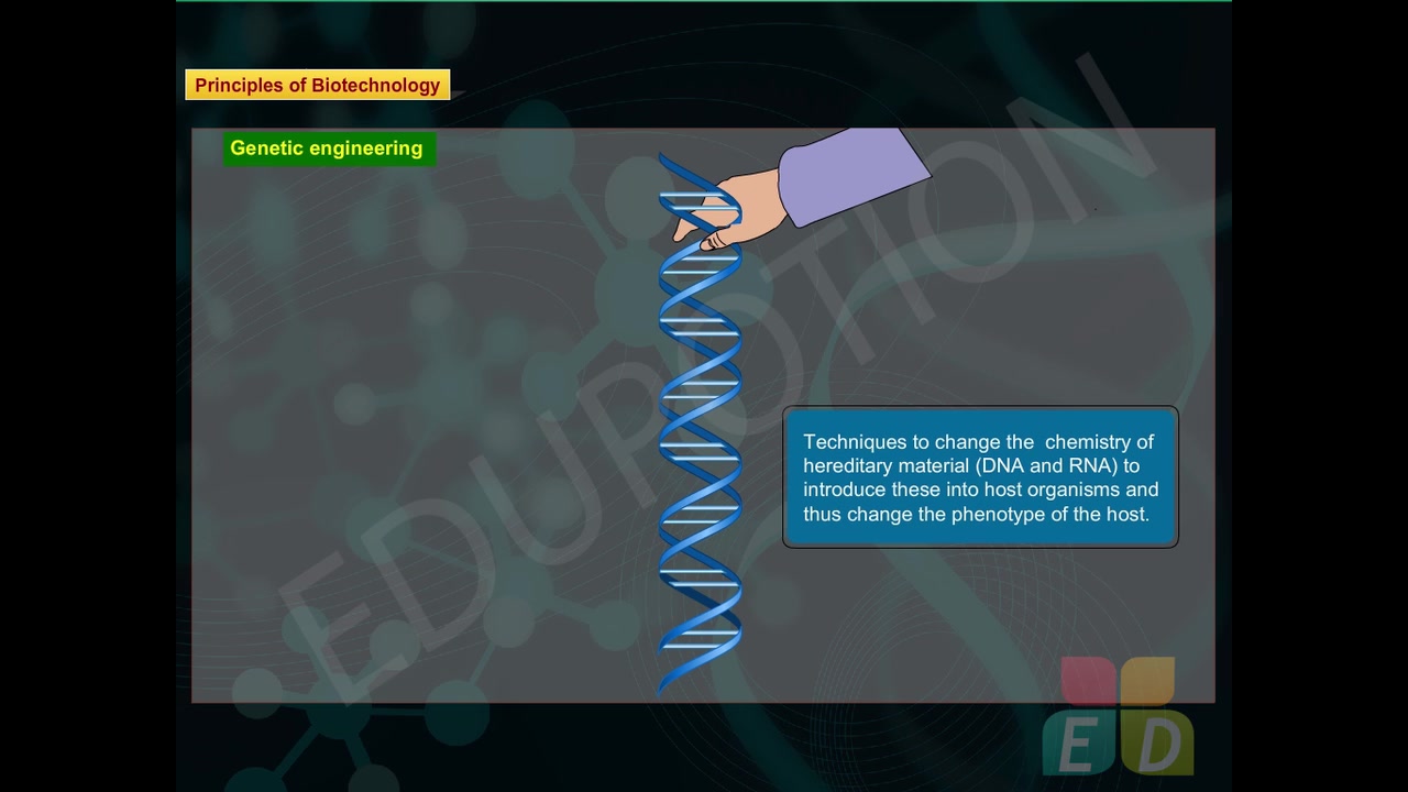 Class 12 Biology