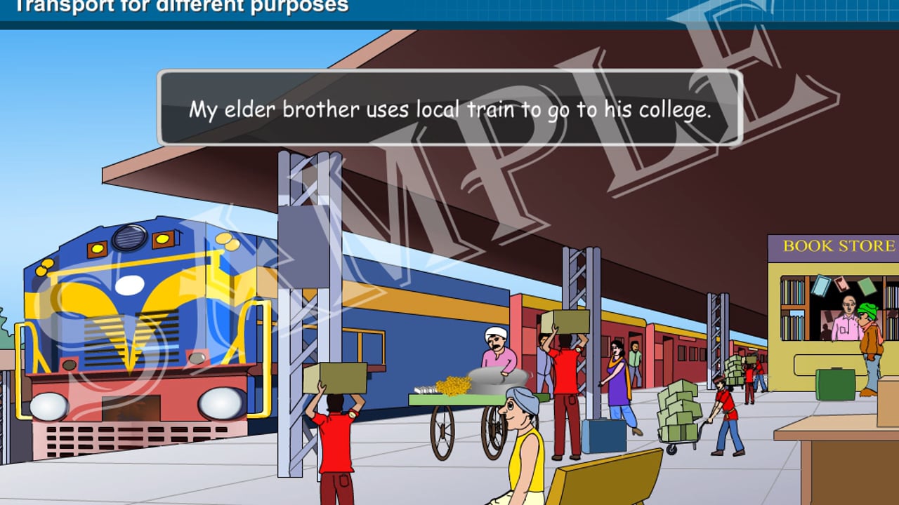 Transport for Different Purposes
